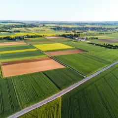 Rozległe, patchworkowe pola uprawne, z drogą przecinającą krajobraz. Idealna ziemia na sprzedaż dla rolnika marzącego o własnym kawałku świata.