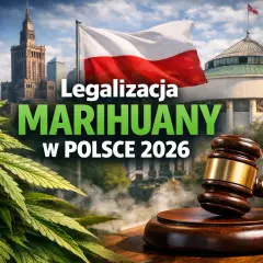 Konopie, polska flaga, budynek Sejmu i młotek sędziowski na tle Warszawy.
