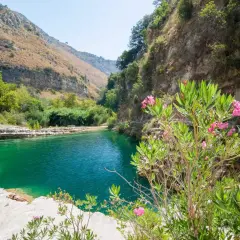 A serene pool of turquoise water reflects the rugged beauty of Sicily nature. Two sunbathers relax on the rocky shore, surrounded by lush greenery and blooming pink oleander flowers.