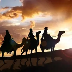 Drei Könige reiten auf Kamelen durch die Wüste bei Sonnenuntergang. Ein festlicher Anblick am 6. Januar.