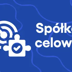 Grafika wyjaśnia, spv co to jest: spółka celowa jako element układanki trafiający w cel.
