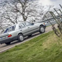 Srebrny w124 mercedes jedzie po krętej drodze wśród drzew i winorośli.