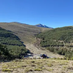 Paisaje montañoso con bosques de pinos y un camino que desciende hacia el puerto de la Ragua. Se ve una edificación y coches aparcados.