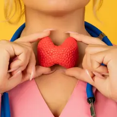 Dłonie trzymają model tarczycy, symbolizując guzki na tarczycy. Lekarka w różowym fartuchu z niebieskim stetoskopem.