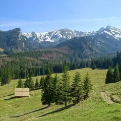 Zielone hale i lasy w Tatrach, z widocznymi szczytami pokrytymi śniegiem. Na hali stoi drewniana bacówka, przypominająca dawne kuźnice.