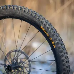 Close-up of a DT Swiss wheel with Argotal tires, showcasing their aggressive tread pattern, perfect for the lightest MTB tires.