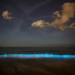 Nocna kosmiczna plaża Malediwy, gdzie fale rozświetlają się niebieskim blaskiem, jakby gwiazdy spadły do oceanu.