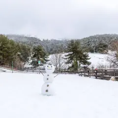 Muñeco de nieve sonriente en un paisaje nevado, ideal para saber donde ver nieve en Madrid. Bosques cubiertos de blanco y cielo nublado.