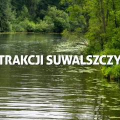 Najlepsze atrakcje w Suwałkach, które musisz zobaczyć podczas wizyty