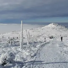Zimowy krajobraz na **Szrenicy** w **Śnieżnych Kotłach**. Słupki drogowskazów pokryte lodem, ścieżka wśród śniegu i chmur.