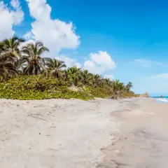 Traumhafte Strände mit Palmen und türkisfarbenem Meer. Perfekte reiseziele januar warm für einen entspannten Urlaub.