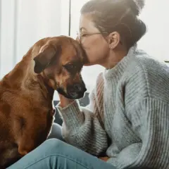 Mujer besa la frente de su perro, un momento tierno que demuestra que se puede sacrificar un perro por amor.
