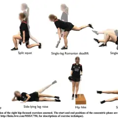 Huit exercices pour le moyen fessier : squat sur une jambe, fente, soulevé de terre roumain sur une jambe, hip thrust sur une jambe, pas latéraux bandés, élévation latérale de jambe, hip hike, planche latérale.
