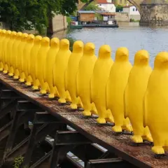 Żółte pingwiny na moście w Pradze to nietypowe atrakcje. Rząd żółtych rzeźb tworzy niezwykły widok nad rzeką.