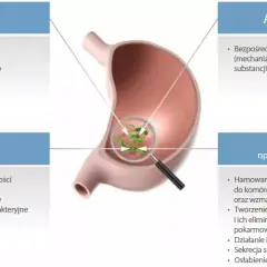 Skuteczne leki na helicobacter pylori - uniknij powikłań zdrowotnych