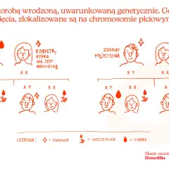 Wyjaśnienie, hemofilia co to jest: genetyczna choroba związana z chromosomem X, przedstawiona na schemacie dziedziczenia.