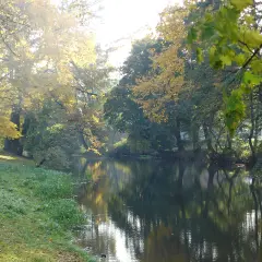 Jesienne słońce rozświetla miasto nad Iną. Drzewa w złotych barwach odbijają się w spokojnej wodzie.