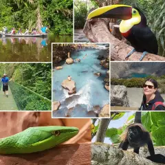 Costa Rica: Ein Muss für Tierliebhaber! Kanufahrt, Hängebrücken, bunte Vögel, Affen, Schlangen und ein Vulkansee.