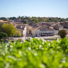 Paesaggio urbano con tetti in tegole e alberi verdi, in una regione vinicola a nord di Bordeaux.