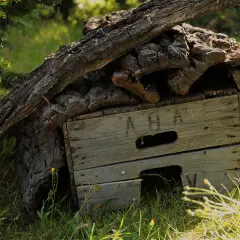 Ein selbstgebautes, katzensicheres Igelhaus aus Holz und Rinde, versteckt im Gras unter einem Baum.