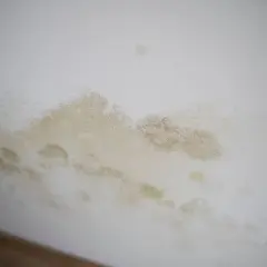 Feuchte und gelbliche kreisrunde Flecken an der weißen Wand deuten auf ein Problem hin.