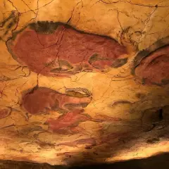Pinturas rupestres de bisontes en el techo de una cueva, evocando el **museo mitológico Santillana del Mar**.