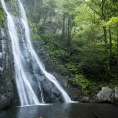 La seimeira de Vilagocende, una cascada imponente que cae por rocas cubiertas de musgo, rodeada de un bosque frondoso y verde.