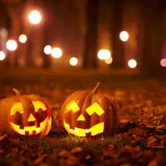 Two carved pumpkins glow with warm light on a bed of fallen leaves, perfect for halloween decorations on the cheap.