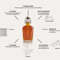 Composition sirop d'érable : acides aminés, glucides, phytohormones, acides organiques, vitamines, minéraux, polyphénols et lignanes.