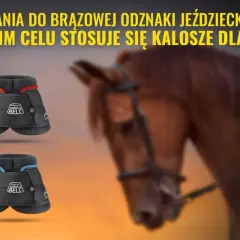 Po co są kaloszki dla konia? Odkryj ich kluczowe korzyści