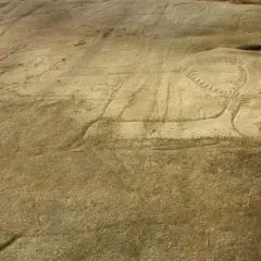 Grabados rupestres en el **campo lameiro**, con figuras de animales y círculos concéntricos, testigos de un pasado ancestral.
