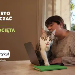 Ile trwa odrobaczanie kota? Poznaj kluczowe ramy czasowe!