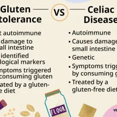 Porównanie nietolerancji glutenu i celiakii. Celiakia to choroba autoimmunologiczna, która może powodować uszkodzenie jelit, podczas gdy nietolerancja glutenu nie jest autoimmunologiczna.