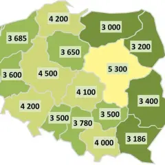 Ile zarabia geodeta po technikum? Zaskakujące fakty o wynagrodzeniach