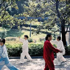 Ludzie ćwiczą tai chi w parku. To spokojna sztuka walki, która poprawia równowagę i koordynację.