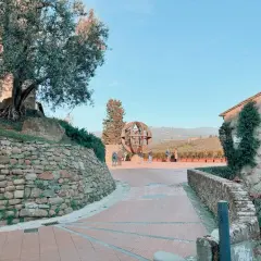 Vinci cosa vedere: un'installazione artistica a forma di globo, un ulivo secolare e case in pietra con vista sulle colline toscane.