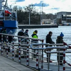 Ludzie cierpliwie czekają, kiedy łowi się śledzie w porcie. W tle niebieski statek i budynki portowe.