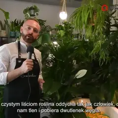 Mężczyzna w fartuchu mówi o roślinach, wśród nich jest kwiat radermachera. Rośliny produkują tlen.