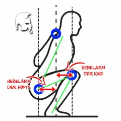 Schema einer Kniebeuge mit Hebelarmen an Hüfte und Knie. Der Vastus Intermedius ist hierbei zentral für die Streckung des Kniegelenks.
