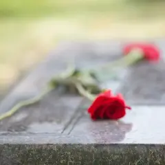 Dwie czerwone róże na kamiennej płycie nagrobnej symbolizują pożegnanie pogrzebowe i wieczną pamięć.