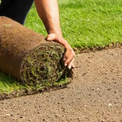 Mann rollt Rollrasen aus, um einen neuen Rasen zu verlegen.