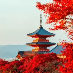 Piękna pagoda w Kioto otoczona jesiennymi liśćmi. Zastanawiasz się, czy do Japonii potrzebna jest wiza?