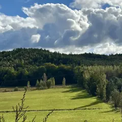 Zielone pola i lasy na Kaszubach, idealne miejsce, gdzie na spacer wybrać się można w słoneczny dzień.