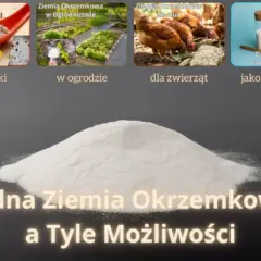 Ziemia okrzemkowa dla kur i nie tylko! Stosuj ją na robaki, w ogrodzie, dla zwierząt lub jako suplement diety. Jedna ziemia, wiele możliwości.