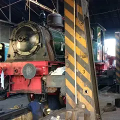 Im Eisenbahnmuseum Dieringhausen stehen mehrere Dampflokomotiven zur Wartung bereit. Eine rote und grüne Lokomotive ist im Vordergrund zu sehen.