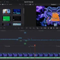 DaVinci Resolve layout showing a timeline with video clips, a preview window with a psychedelic octopus, and media pool items.