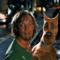 Przerażeni Shaggy i Scooby-Doo wpadają na siebie, gdy uciekają przed potworem.