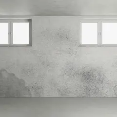 Ein feuchter Keller mit deutlichem **Schimmel im Keller** an den Wänden, zwei kleine Fenster und ein Rohr.