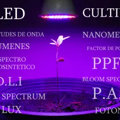 Planta joven bajo un foco led 5w para cultivo, rodeada de términos técnicos como espectro, lúmenes y nanómetros.