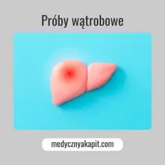 Model wątroby z czerwonym bólem. Tekst: "Próby wątrobowe". Podwyższone próby wątrobowe objawy mogą być niepokojące.